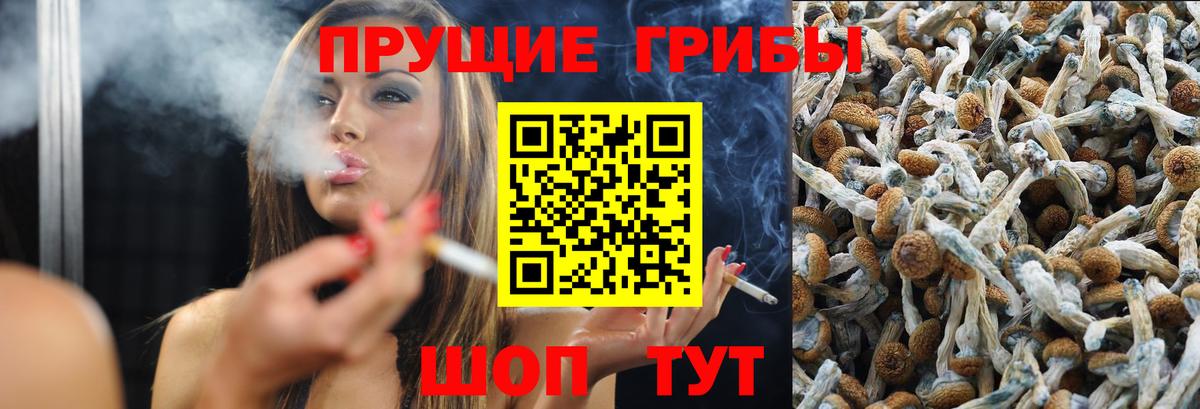 Лабинск  Псилоцибиновые грибы ЛСД  Вход с VPN  Галлюциногенные грибы GOLDEN TEACHER 